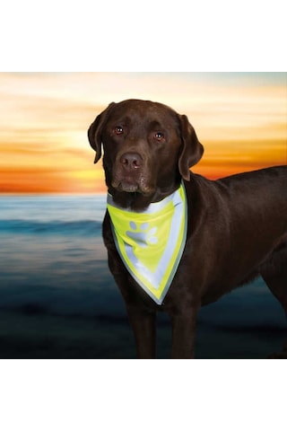 Trixie Köpek Bandanası L-XL 42-60 CM Çok Renkli