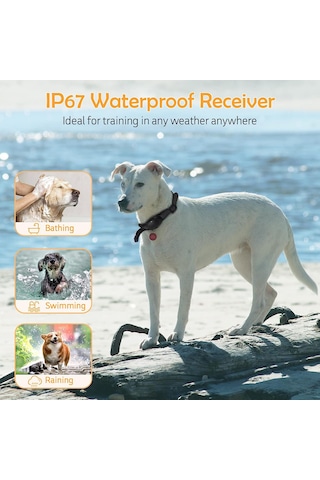 Uu0135 Köpek Kabuğu Tasması Şarj Edilebilir Elektrikli Eğitim Siyah