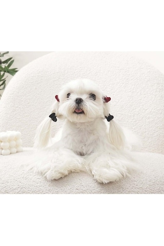 M-pets Glam Kalpli Kedi Ve Köpekler İçin Aksesuar Toka Kırmızı Siyah Mavi