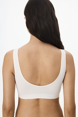 Penti Ekru Çıkarılabilir Pedli Dikişsiz Bralet