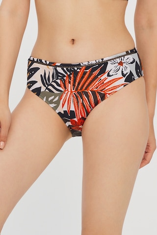 Çok Renkli Giza Cover Bikini Altı Çok Renkli