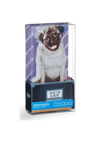 Mustard Dog İn A Box Yapışkanlık Not Kağıdı