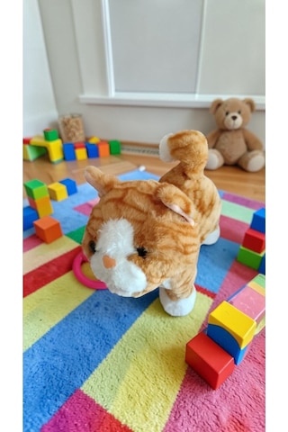 Tasmalı Ses Kayıt Eden Kafa Okşayınca Miyav Kuyruk Salllayan Müzik İile Yürür Büyükboy :30cm Pilli Çok Renkli