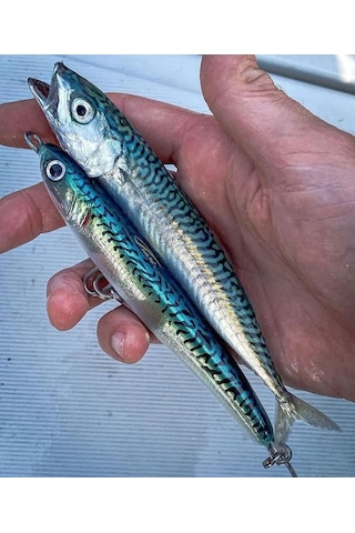 Jack Fin Lara 135-S Sahte Yem Mackerel