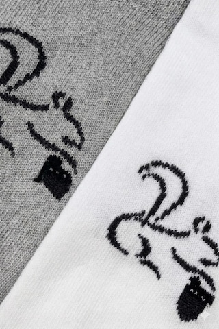 Cocole Socks Erkek Çocuk Patik Çorabı 2 Li Set Beyaz & Gri Sincap Desenli Çok Renkli