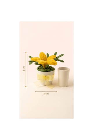 Şönil Sarı Lilyum Mini Saksı Sarı Kurdelalı