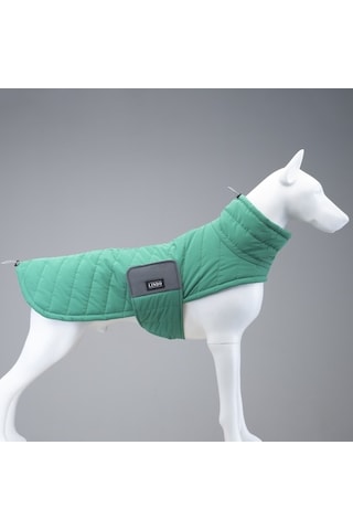 Air Puff Green Apple Köpek Montu