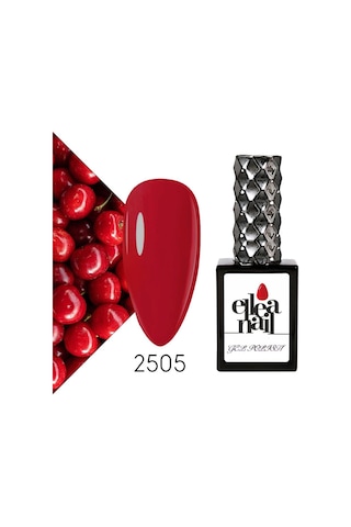 Ellea Nail Kalıcı Oje 2505