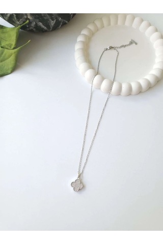 Çelik Silver Taşlı Kadın Kolye Sevgiliye Hediye 40 - 45 CM Gümüş