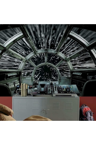 Millennium Falcon Soy Ve Yapıştır Duvar Resmi - 3 2 M X 1 8 M Çok Renkli