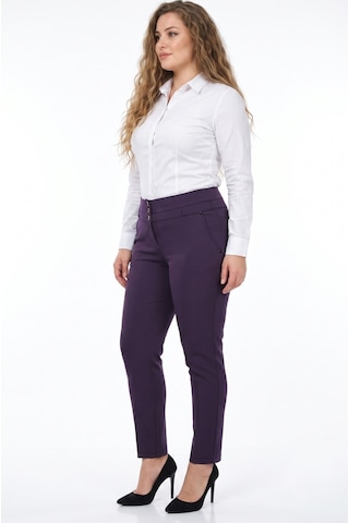 Baglan Kadın Düşük Bel Bilek Pantolon Bgl-st05667 Mor
