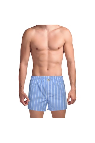 The Don Poplin Erkek Boxer Serin Mavi Çizgili Mavi