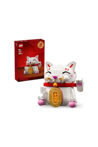 Şanslı Kedi 40813