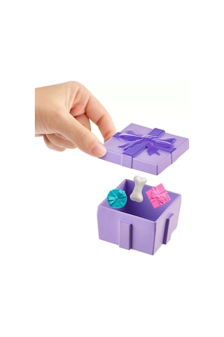 Jcc33 Polly Pocket Pollynin Doğum Günü Partisi Paketi Standart