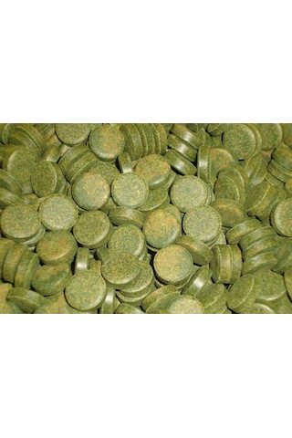 Sera Spirulina Tabs 100 Tablet -