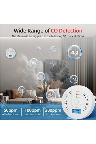Motion003 Lichen 2 Adet Karbon Monoksit Alarmı, Seyahat Taşınabilir Co Küçük Boyutlu 2 Adet 2 Adet
