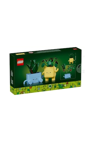 Lego Botanical Collection Mutlu Bitkiler 10349