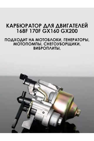 Royal Hıghness Molotov Motoru 168f 170f İçin Karbüratör 218112378