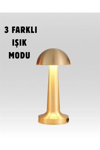 Mey İthalat Şarjlı Dimmerli Led Masa Lambası 4-8 Saat Aydınlatma Yeni Nesil Çok Renkli