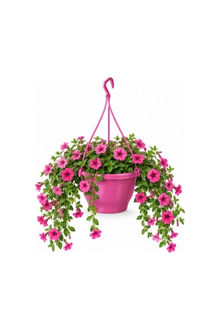 Pembe Fuşya Askılı Saksı 4.5 Lt 5 Adet 24.7x15.2 Cm