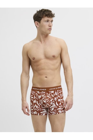 Erkek Desenli 3'lü Boxer Paketi - Corals - 12277701 Desert Sage