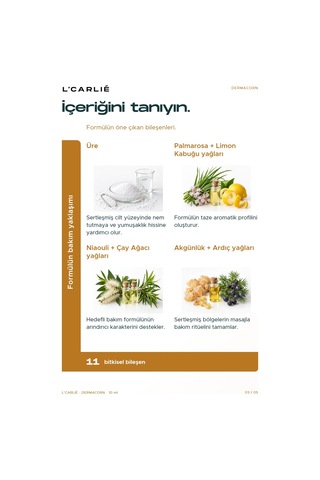 L'carlıe Dermacorn Sertleşmiş Bölge Bakım Kremi Üre İçerikli 10 Ml