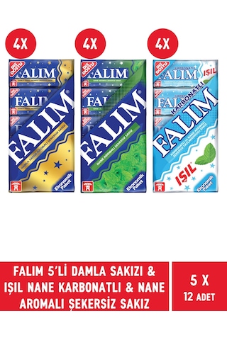 Falım Damla Sakızı & Işıl Nane Karbonatlı & Naneli Şekersiz Sakız 12 x 5'li