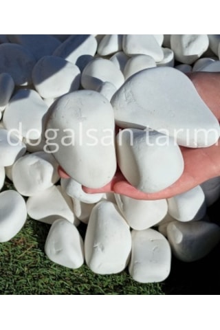 Beyaz Dolomit Taş 25 Kg 6-10 cm Dere Taşı Çakıl Taşı