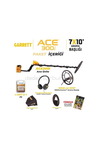 Garrett Ace300i