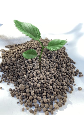 Hobi Bahçe Leonardit Humic Fulvic Asit Granül Taban Gübre 2kg