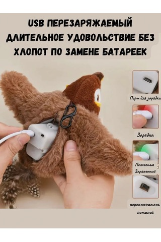 Kediler İçin Etkileşimli Oyuncak 'kuş' 321860329