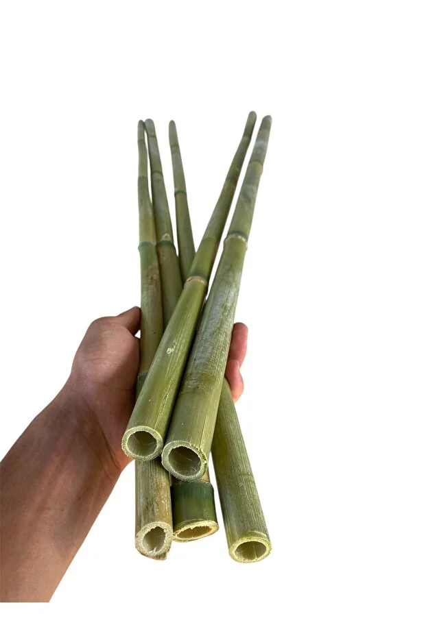 5 Adet 100 Cm Bambu Bitki Destek Çubuğu - Doğal - Kalın Ve Dayanıklı