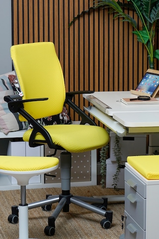 Creo Mobili Yükseklik Ayarlı Vega Plus Çalışma Sandalyesi, Ofis Ve Bilgisayar Koltuğu Sarı/sarı Gri