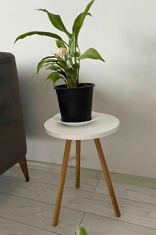 Tekli Yan Sehpa Çiçeklik Saksılık Standı Dekoratif Yan Sehpa Seti Ahşap Ayaklı 33 Cm Çap - Beyaz Beyaz