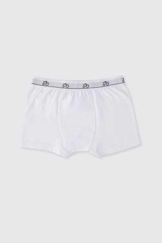 Panço Erkek Çocuk 3'lü Beyaz Boxer Seti 2502BK14013