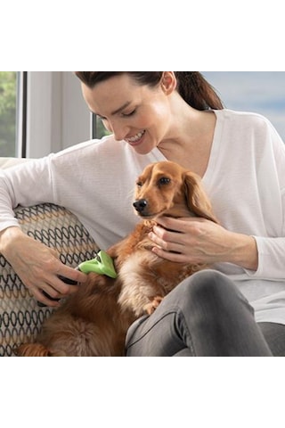 Kedi Ve Köpekler İçin Uzun Tüylü Köpek Tarağı Tüy Toplayıcı Tarak Small 5492