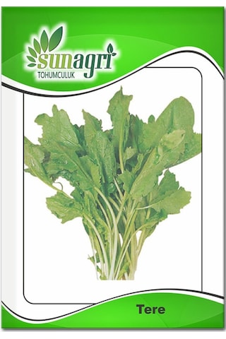 Izmir Tere Tohumu