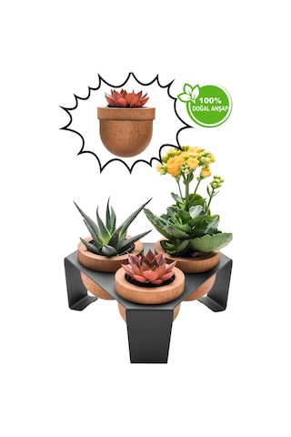 Halohope Metal Stantlı 3'lü Skulent Saksısı Siyah Saksılık