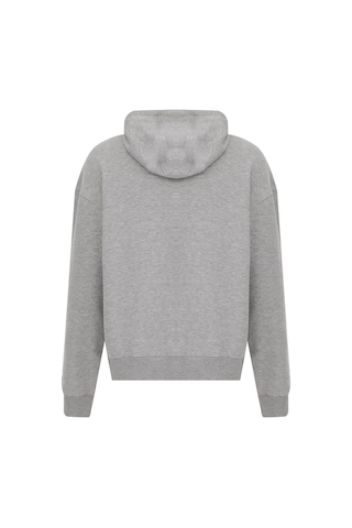 Reebok Colman Hoody A Grı Mel Erkek Sweatshirt Gri