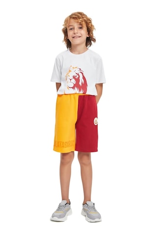 Gsstore Galatasaray Lisanslı Çocuk Şort Kırmızı Sarı Sarı - Kırmızı