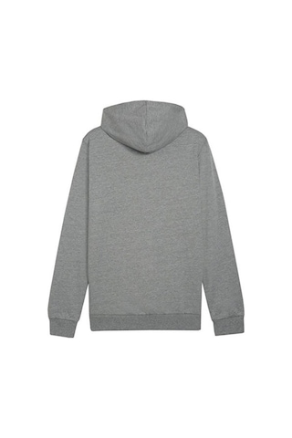 Puma Teamgoal Casuals Hoody Erkek Futbol Sweatshirts 65861833 Gri