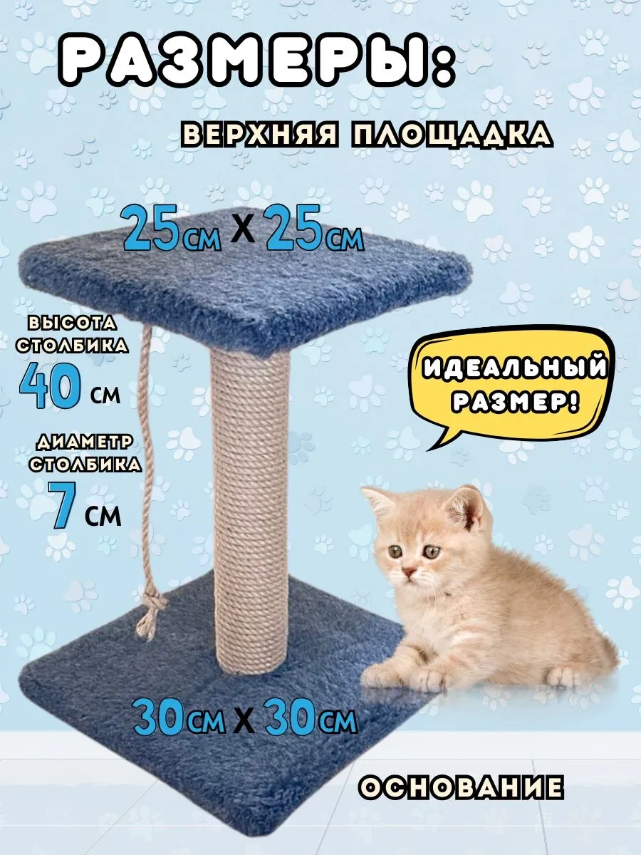 Mr Cat Yavru Kediler İçin Tırmalama Direği 343531754