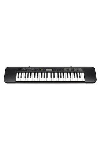 Casio CTK-240 Org