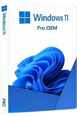Windows 11 Pro OEM Lisans Key
