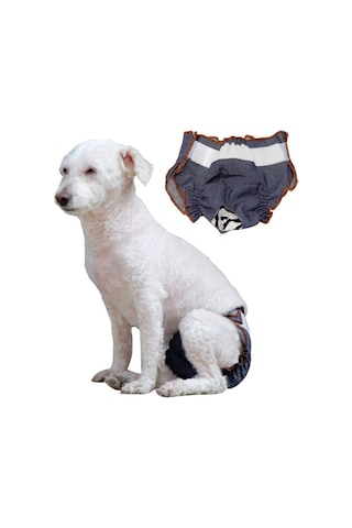 Anti-üzüntü Dişi Köpek Fizyolojik Pantolon İdrar Geçirmez Ve Islak Pet Sızdırmaz İç Çamaşırı, Boyut: L