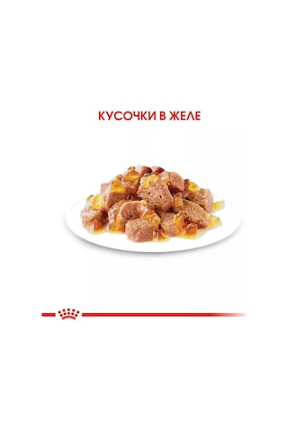 Royal Canin Sterılısed Jel İçerikli Islak Kedi Maması, 12'li 212772372