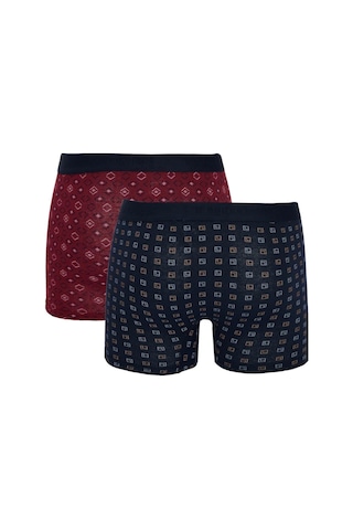 Tudors Erkek 2'Li Pamuk Likralı Esnek Kumaş Boxer-31684-Multi