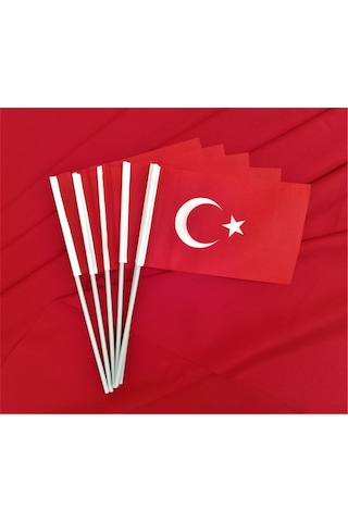 Çubuklu Türk Bayrağı 10 Adet 15 x 22.5 CM
