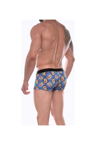 Erkek Çok Renkli Fantezi Giyim Desenli Boxer Hf072209
