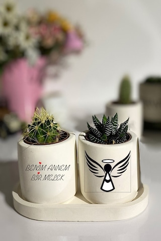 Tabaklı Benim Annem Bir Melek Baskılı Mini Saksı Seti Hediyelik Dekoratif Çiçeksiz Anneler Günü